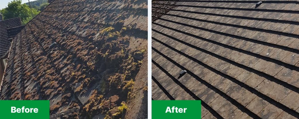 Roof Before and After