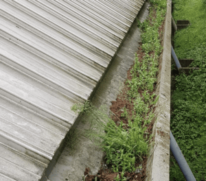 Happy customers in Wokingham who trust The Roof Moss Cleaners for gutter cleaning services